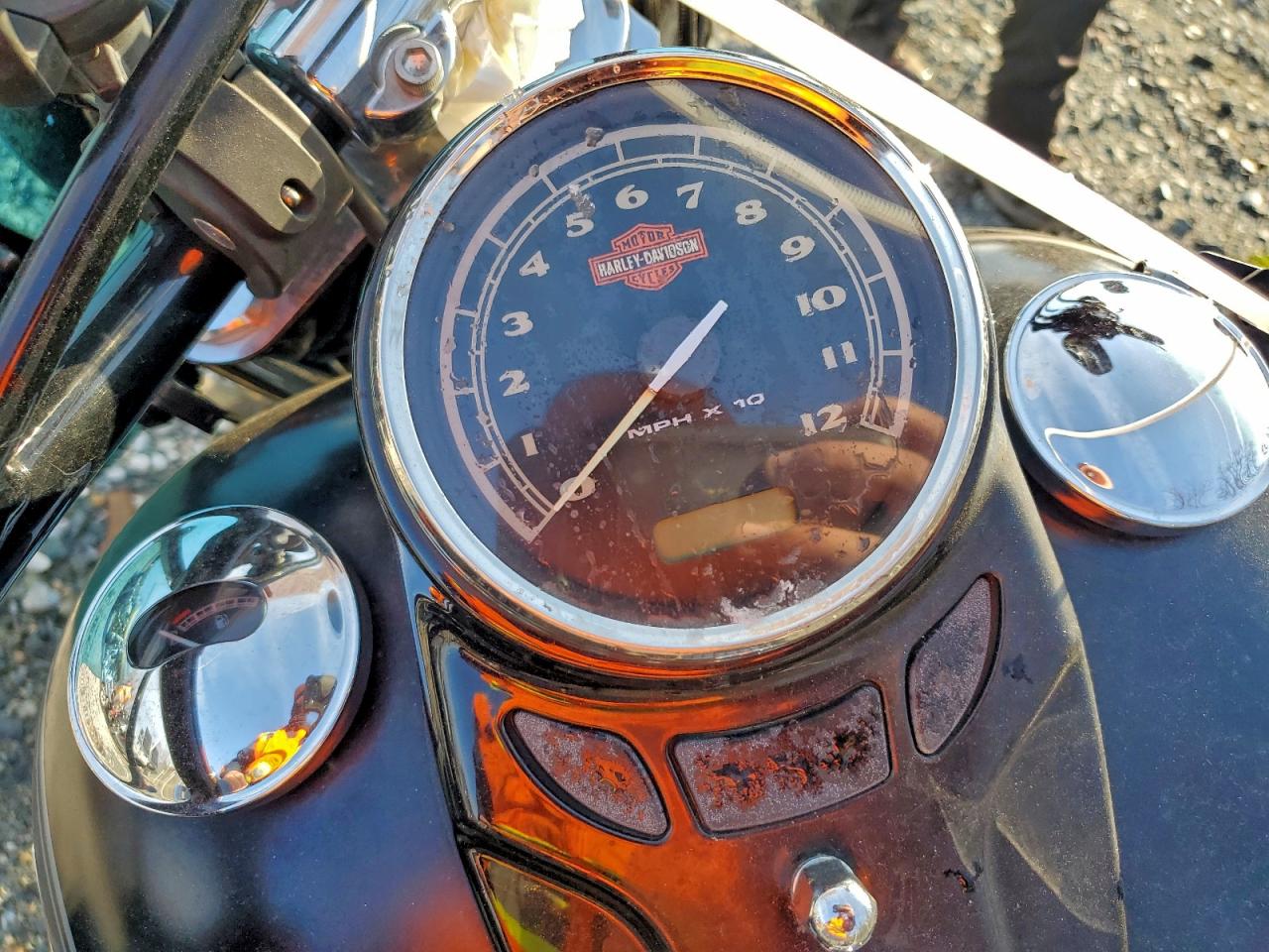 2015 Harley-Davidson Fls Softail Slim VIN: 1HD1JRV18FB036795 Lot: 95426415