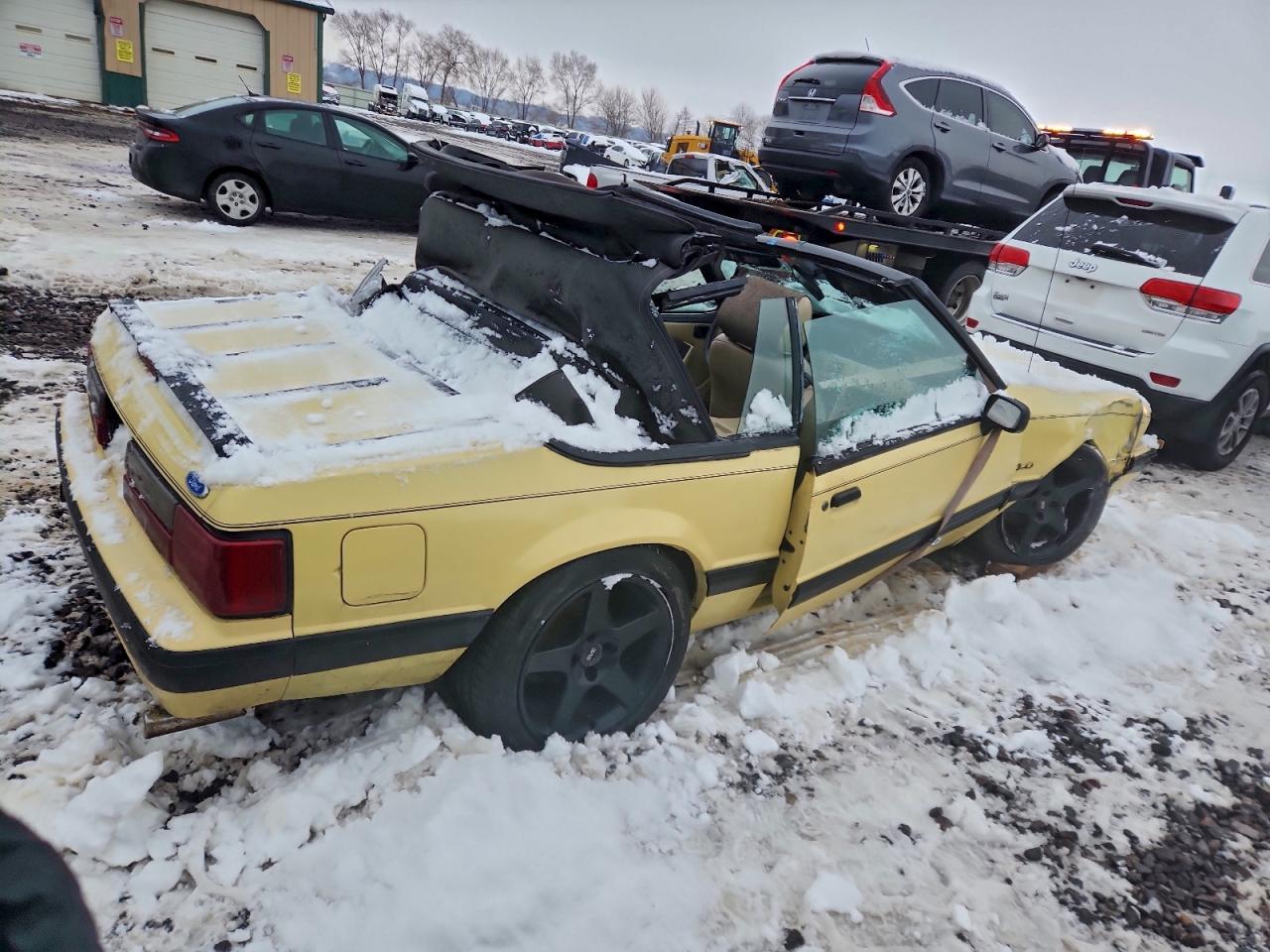 1989 Ford Mustang Lx VIN: 1FABP44EXKF226781 Lot: 95532825