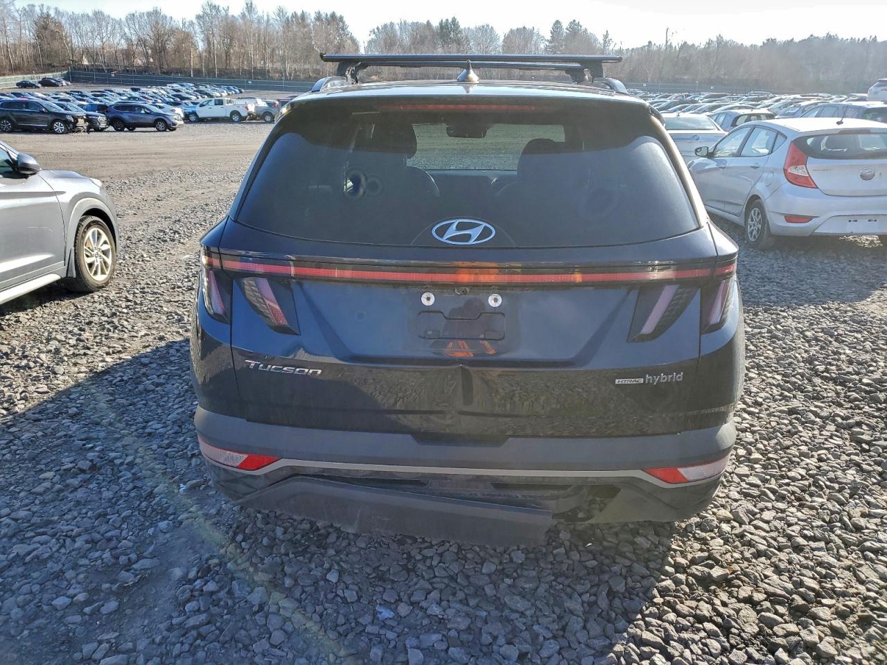 2023 Hyundai Tucson Sel Convenience VIN: KM8JFCA15PU087582 Lot: 97980105