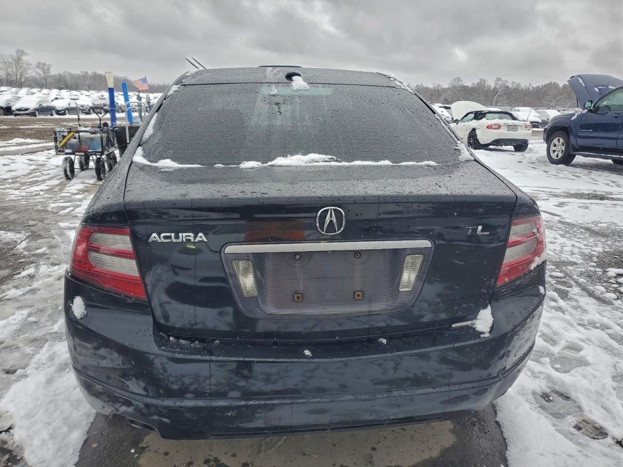 2008 Acura Tl VIN: 19UUA66238A035696 Lot: 95431835