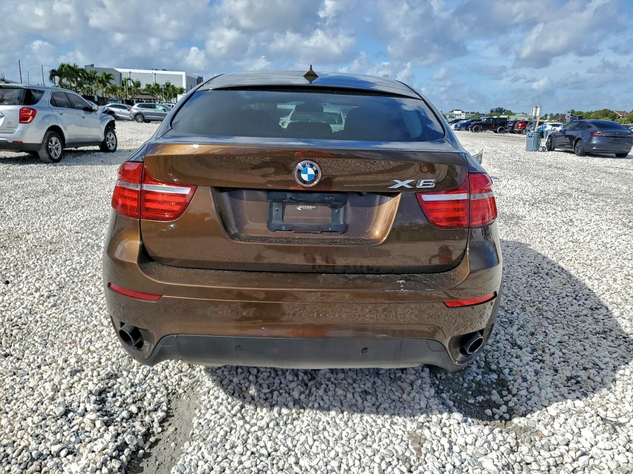 2013 BMW X6 xDrive35I VIN: 5UXFG2C50DL782943 Lot: 95325795
