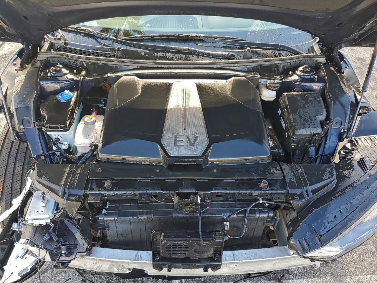 2024 Kia Ev6 Light VIN: KNDC34LA2R5617710 Lot: 95154305