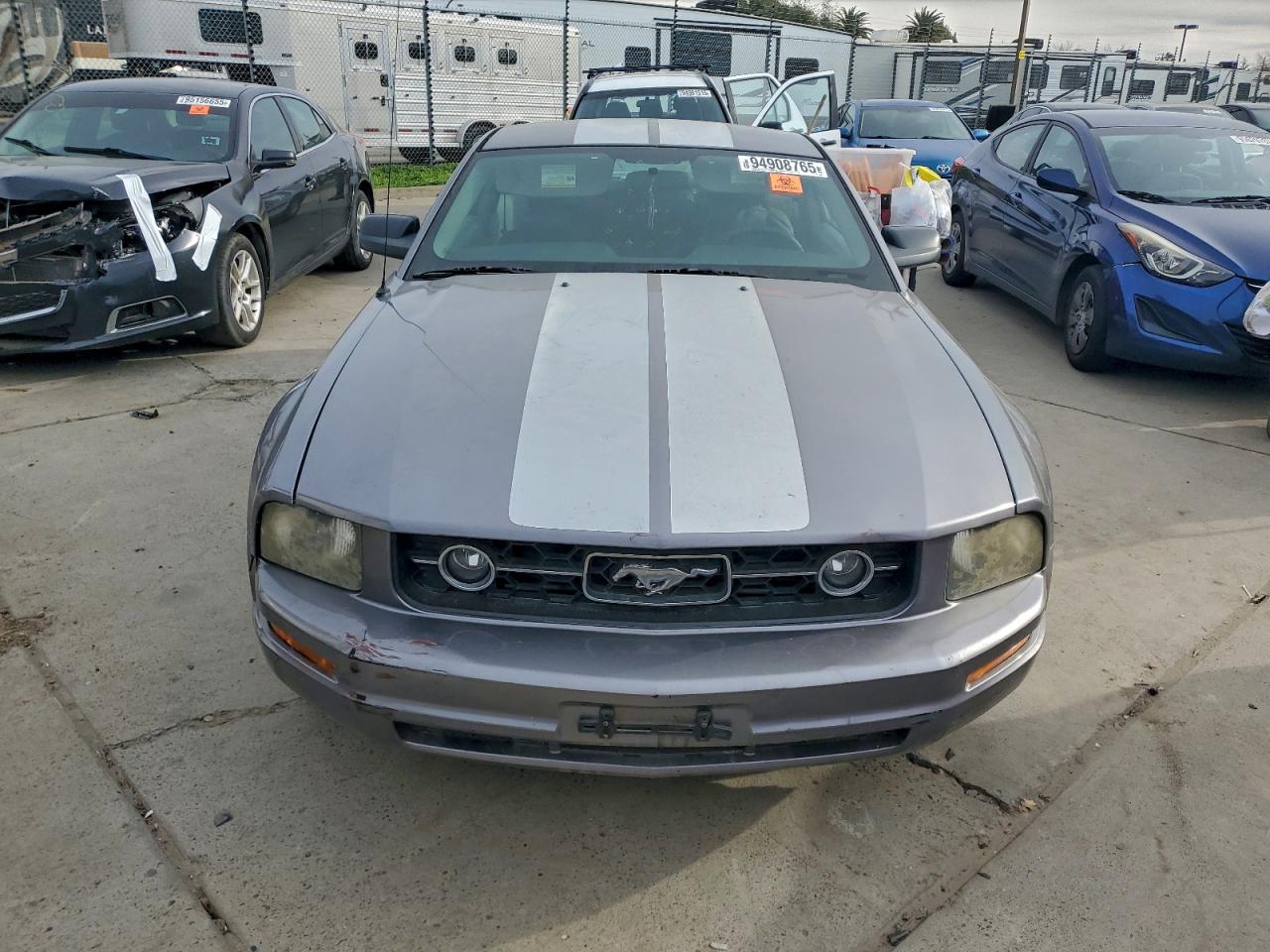 2006 Ford Mustang VIN: 1ZVFT80N365142394 Lot: 94908765