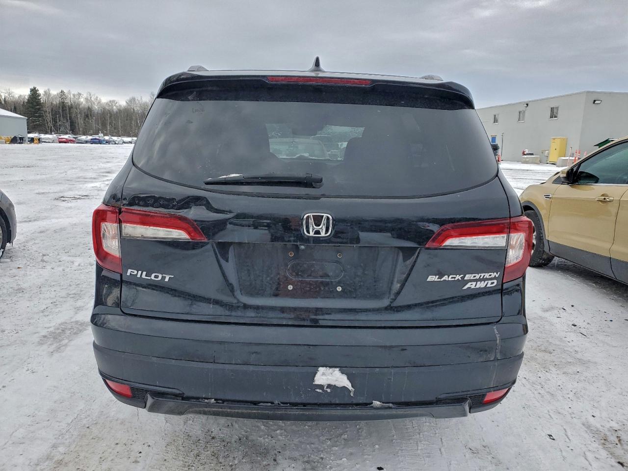 2020 Honda Pilot Elite VIN: 5FNYF6H03LB503388 Lot: 95925515