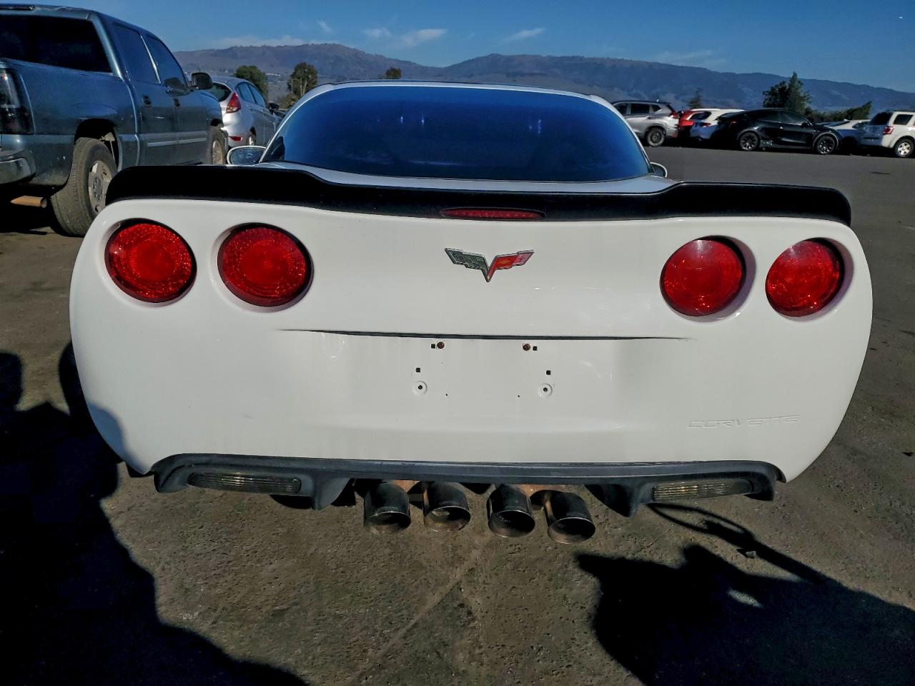 2007 Chevrolet Corvette VIN: 1G1YY26U175100941 Lot: 95896945
