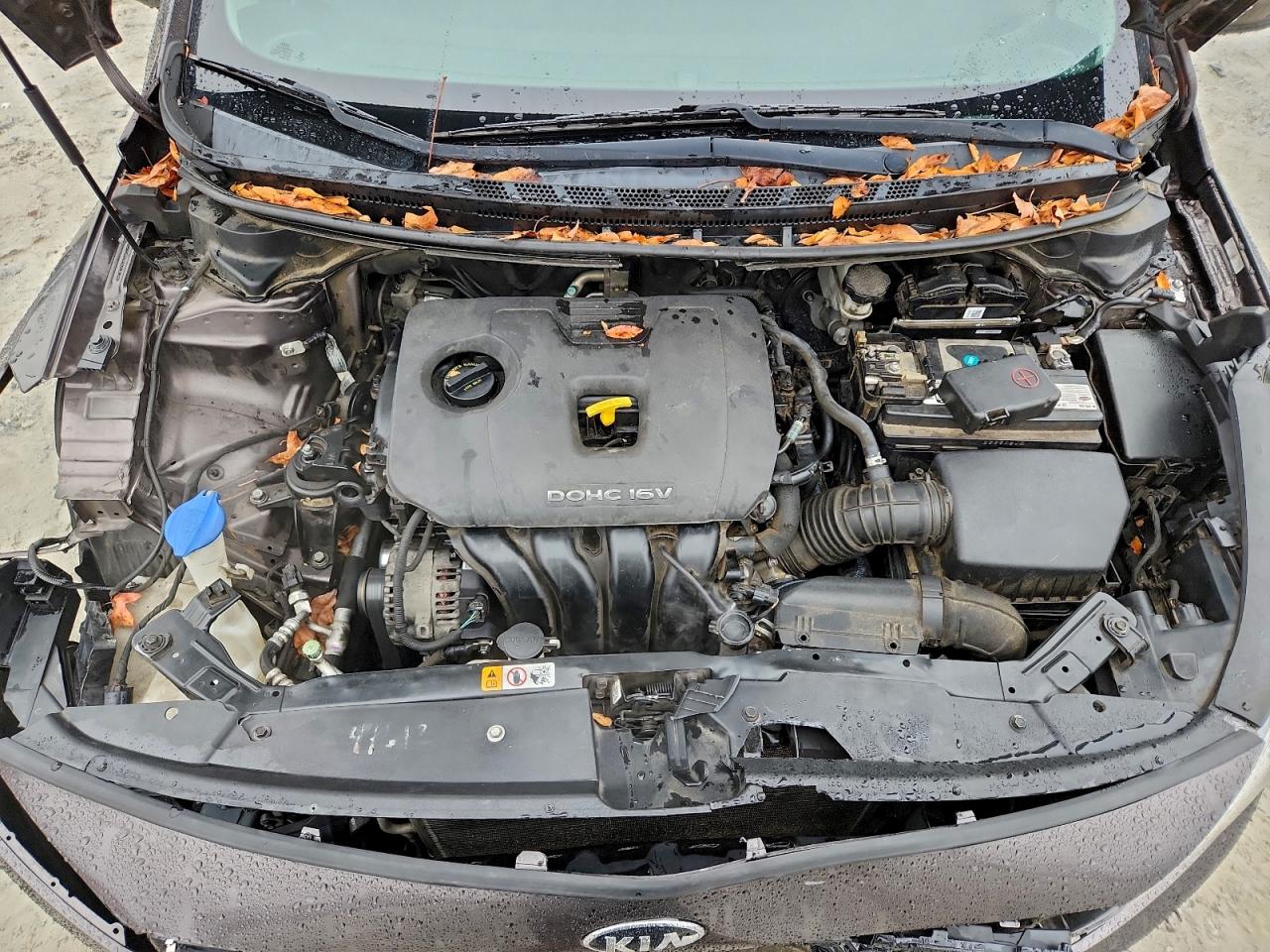 2017 Kia Forte Lx VIN: 3KPFK4A76HE109539 Lot: 95855315