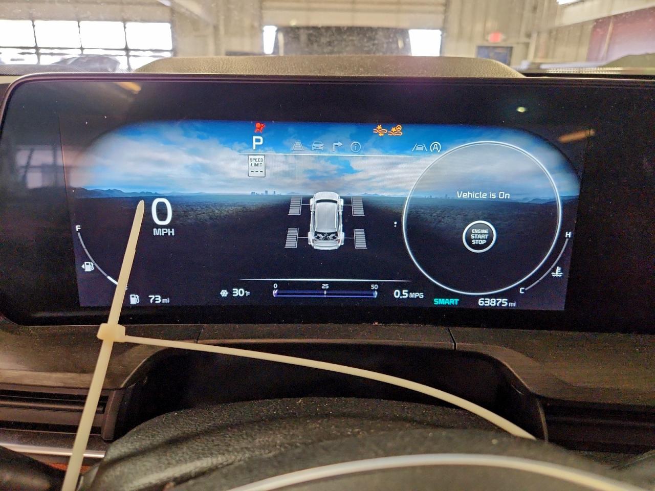 2023 Kia Telluride Sx VIN: 5XYP5DGC9PG372562 Lot: 95630535