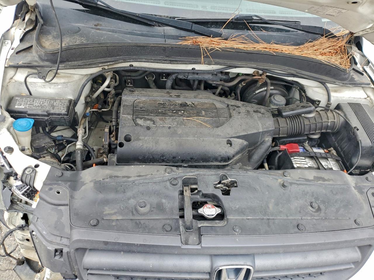 2004 Honda Pilot Exl VIN: 2HKYF18544H592681 Lot: 96075895