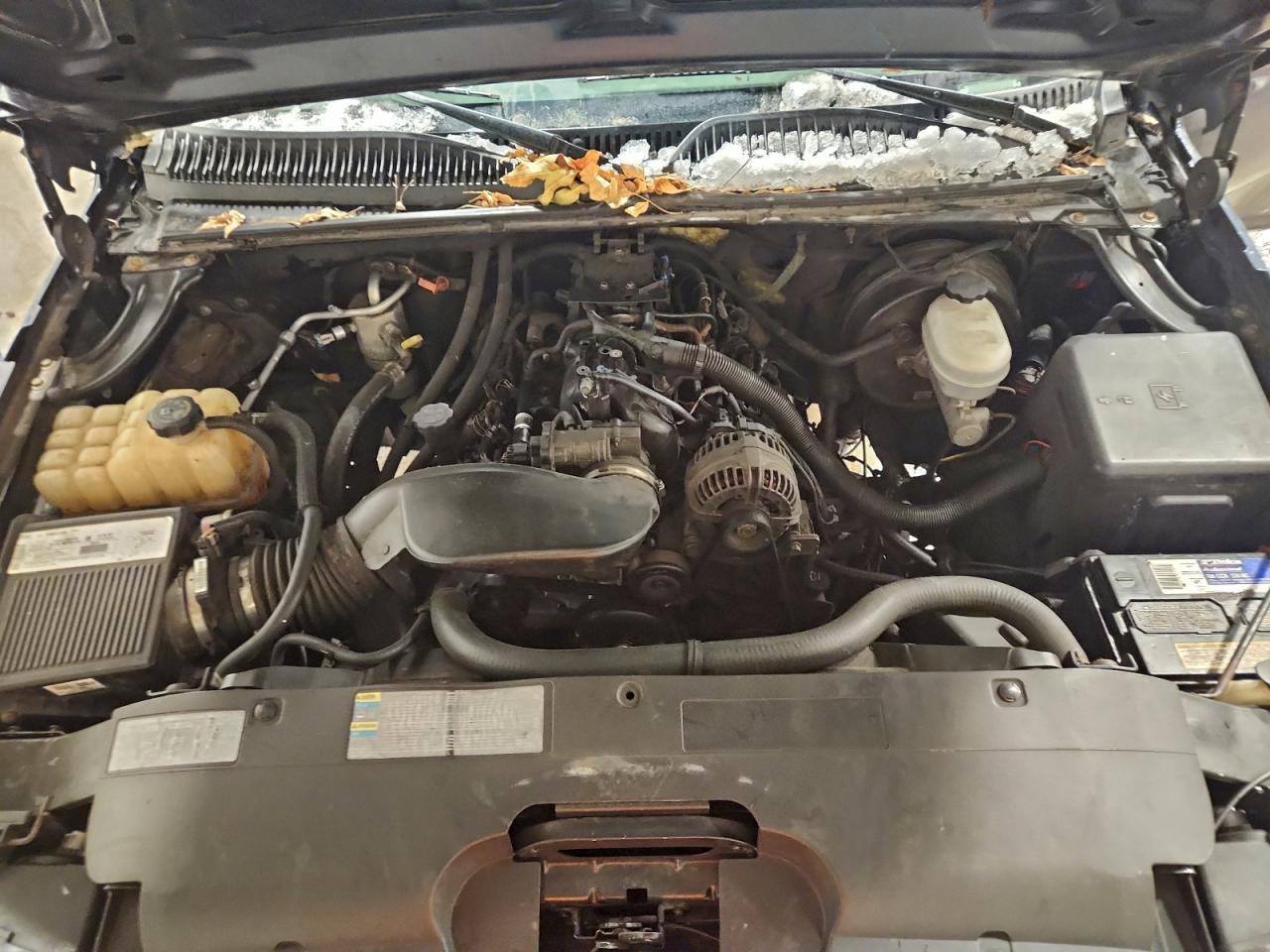 2005 Chevrolet Silverado K1500 VIN: 1GCEK14V95E166801 Lot: 95282455