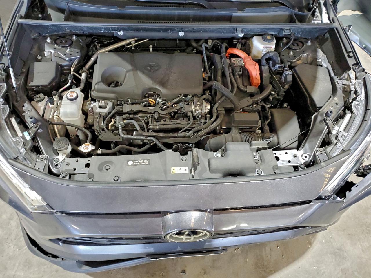 2025 Toyota Rav4 Le VIN: 4T3LWRFVXSU174997 Lot: 95515115