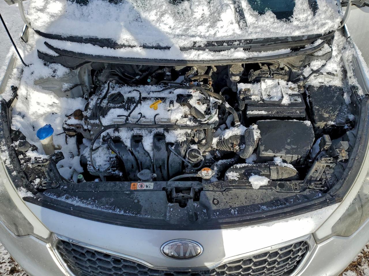 2015 Kia Forte Lx VIN: KNAFX4A65F5269507 Lot: 96062475