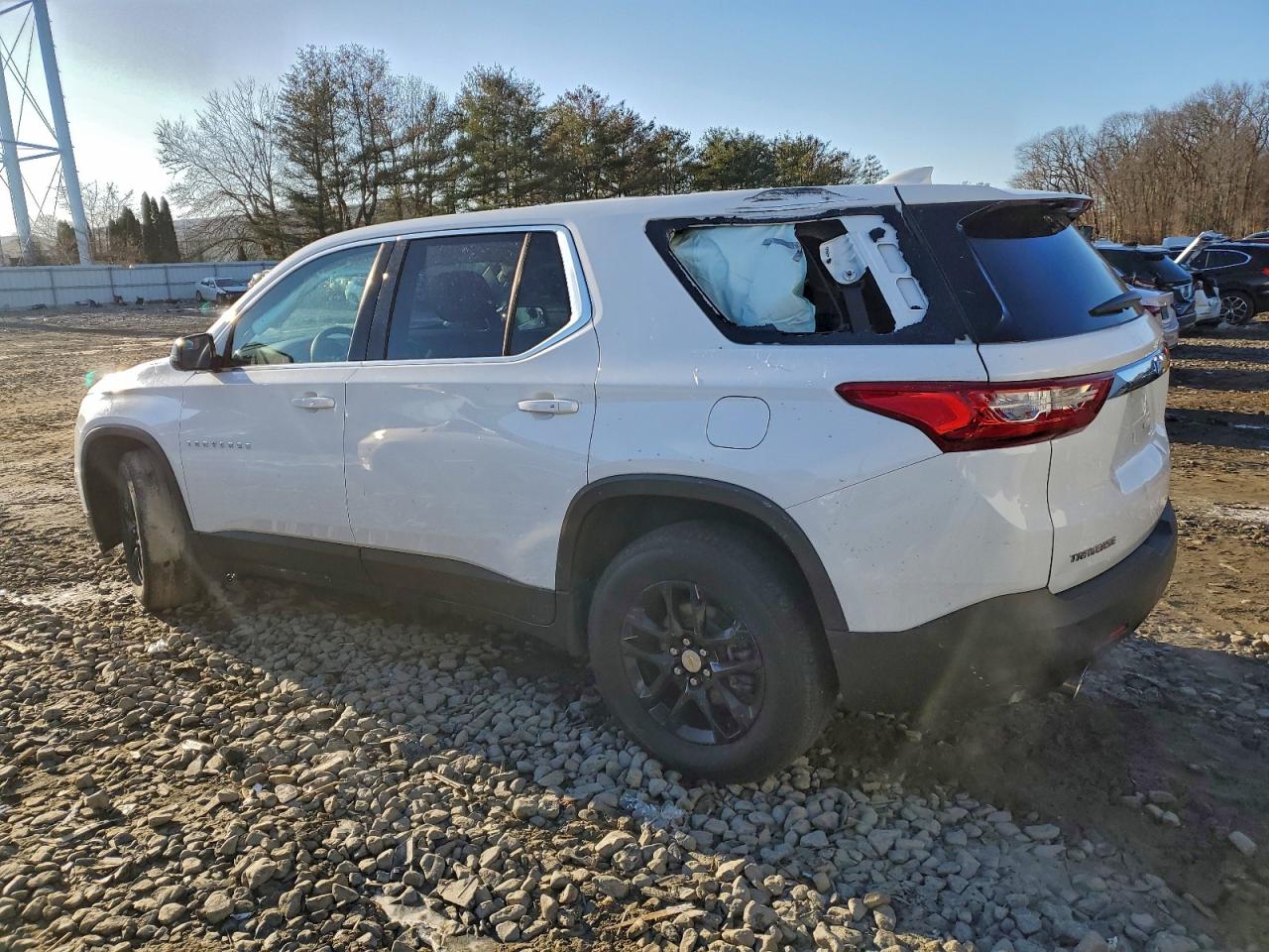 2019 Chevrolet Traverse Ls VIN: 1GNERFKWXKJ101714 Lot: 97992065