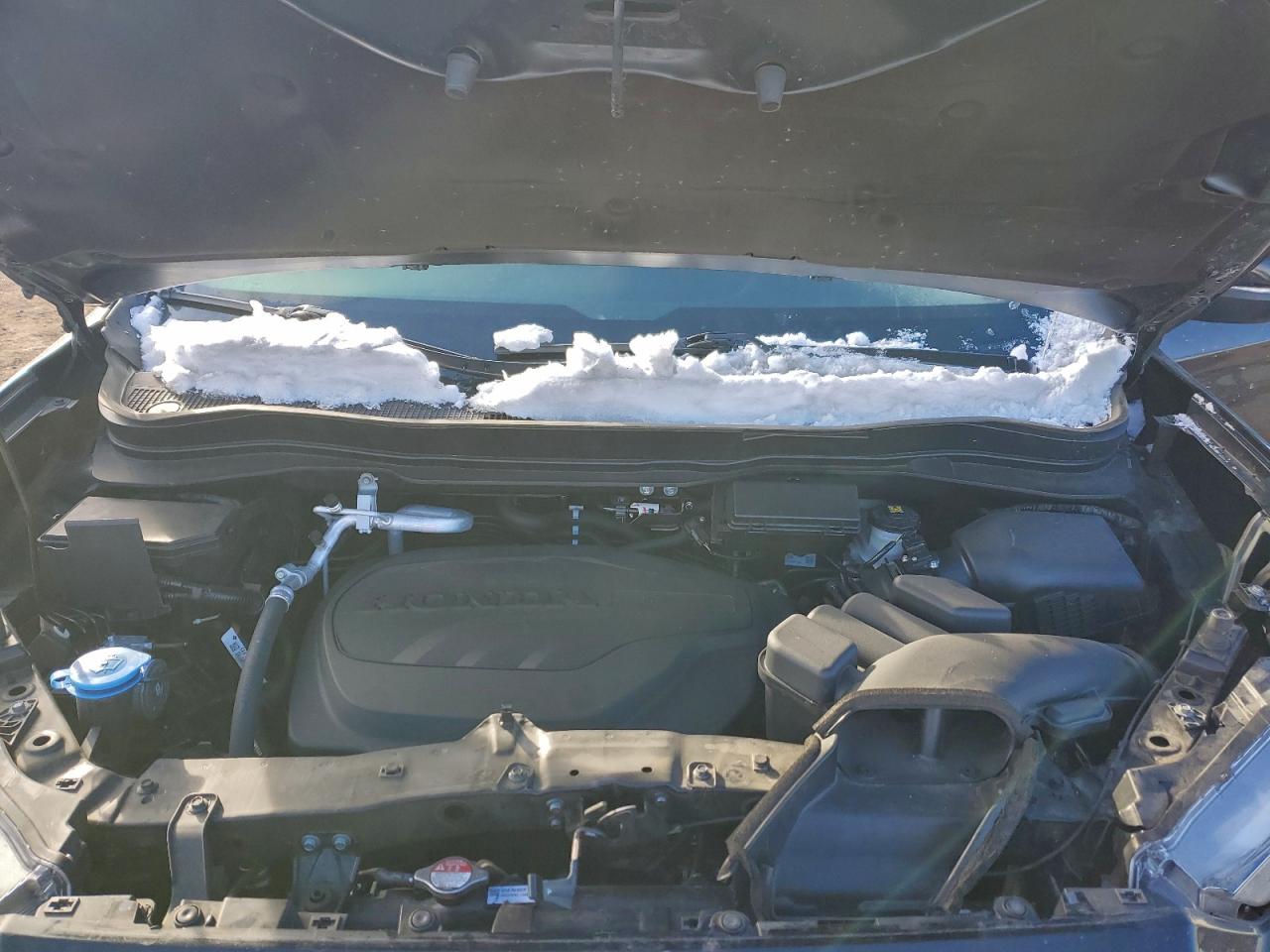 2024 Honda Passport Trail Sport VIN: 5FNYF8H69RB012123 Lot: 95710885