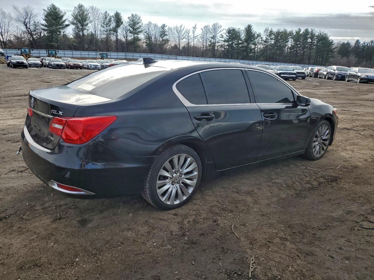 RLX