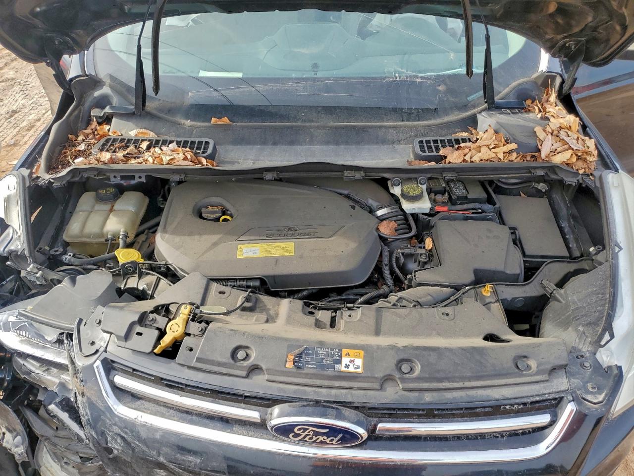 2013 Ford Escape Sel VIN: 1FMCU0HX9DUC41942 Lot: 94881035