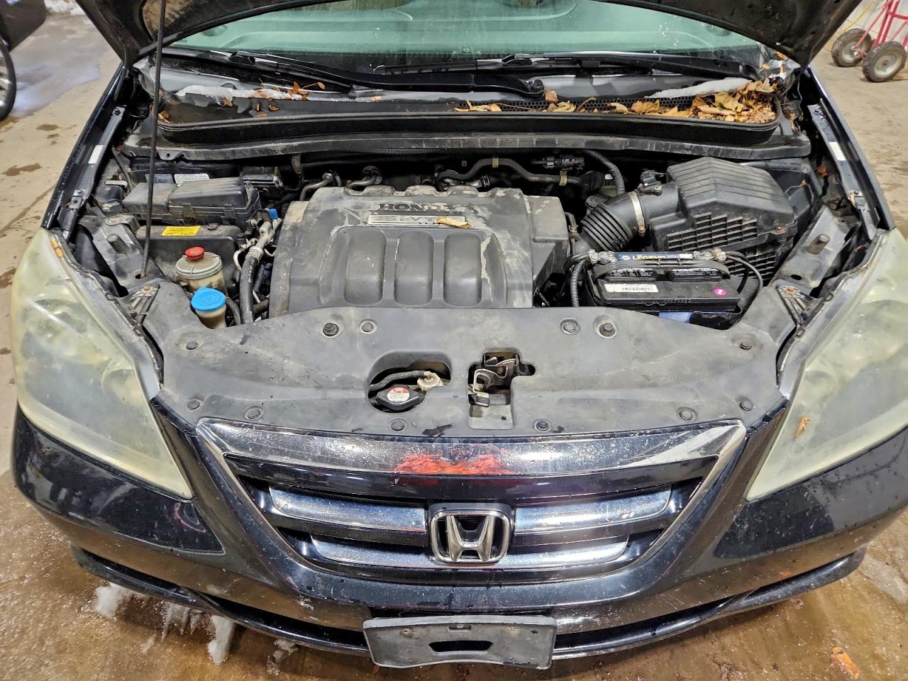 2007 Honda Odyssey Exl VIN: 5FNRL38777B050794 Lot: 96484135