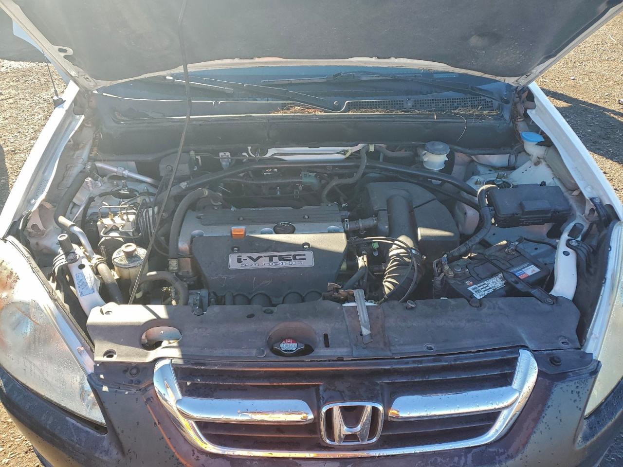 2004 Honda Cr-V Ex VIN: JHLRD78824C021504 Lot: 95761915