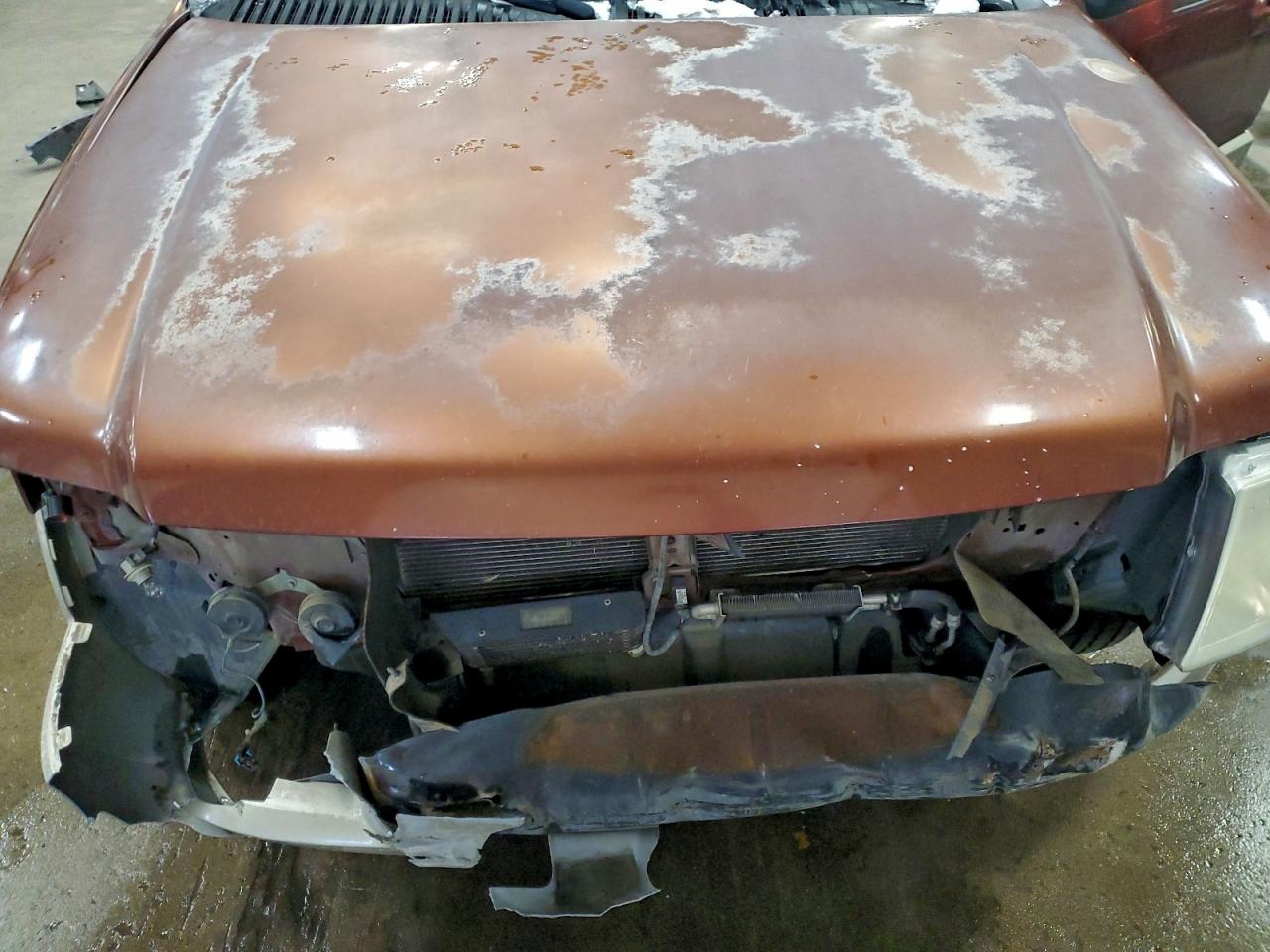 2006 Ford Expedition Eddie Bauer VIN: 1FMFU18566LA57925 Lot: 96052925