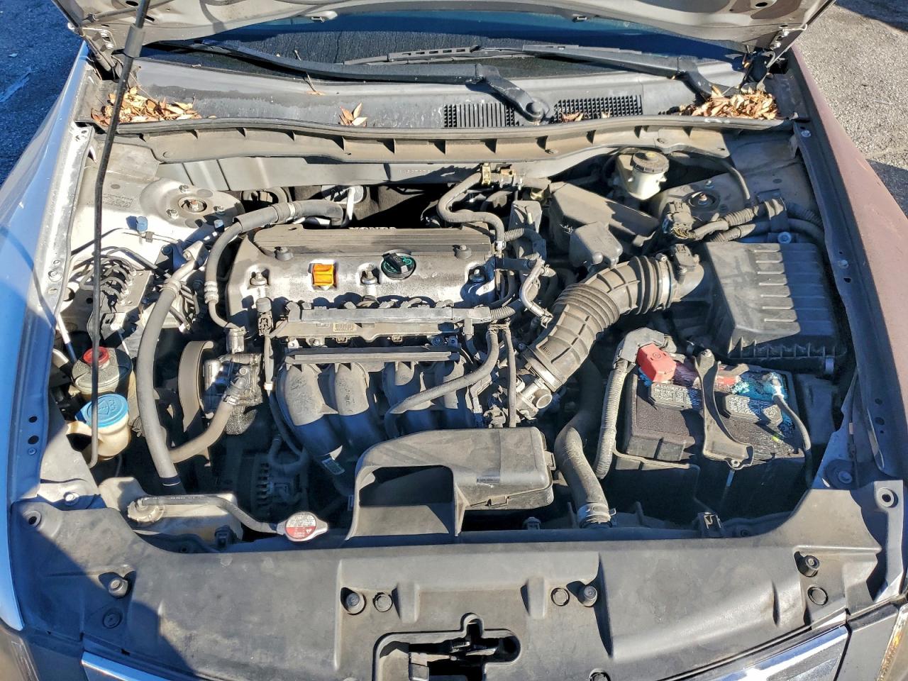 2010 Honda Accord Lx VIN: 1HGCP2F39AA057087 Lot: 96001115