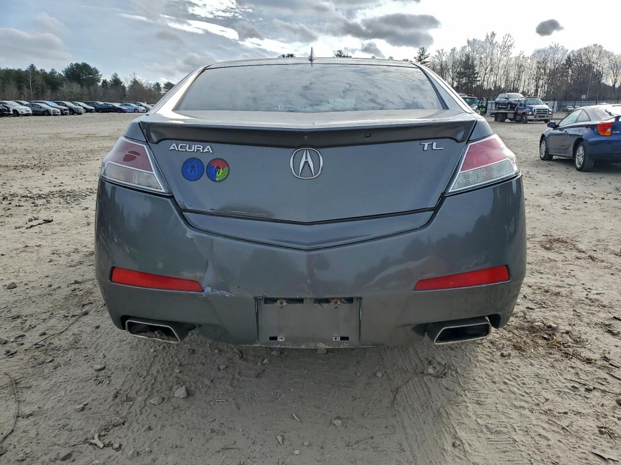2009 Acura Tl VIN: 19UUA86519A003837 Lot: 96039945