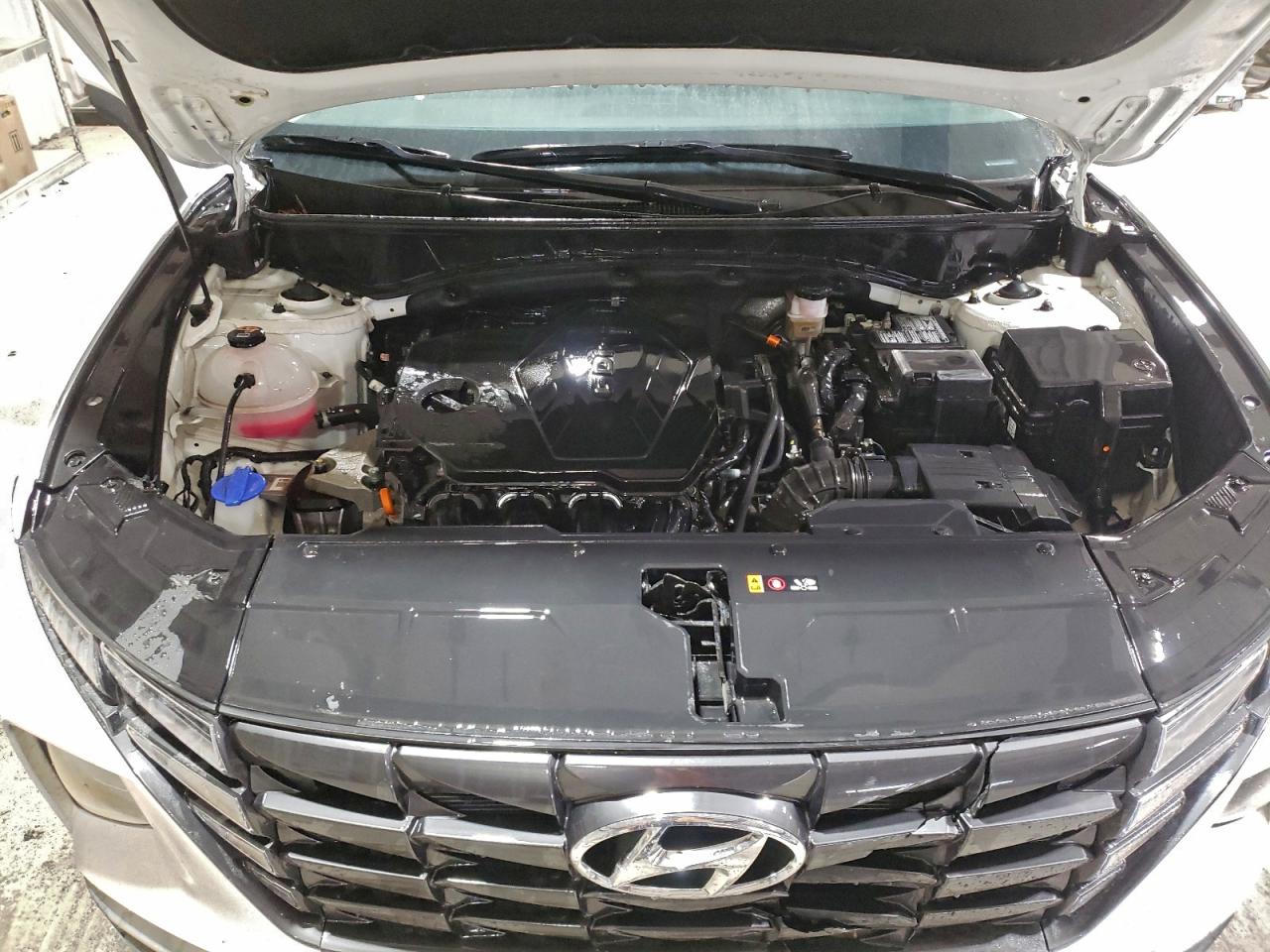 2024 Hyundai Tucson Sel VIN: 5NMJBCDE1RH409126 Lot: 95468035