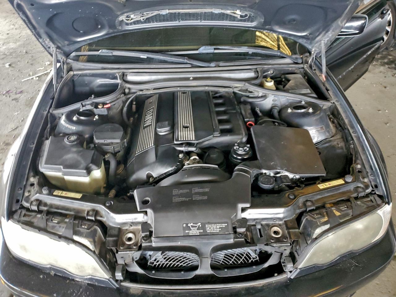 Фото: WBABN33462PG55218