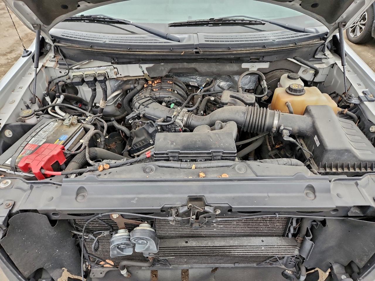 2013 Ford F150 VIN: 1FTMF1CM5DFB25695 Lot: 96217185