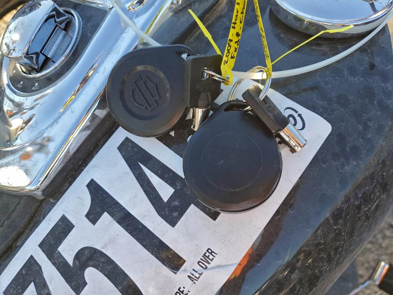 2009 Harley-Davidson Fxdf VIN: 1HD1GY4139K334380 Lot: 93075145