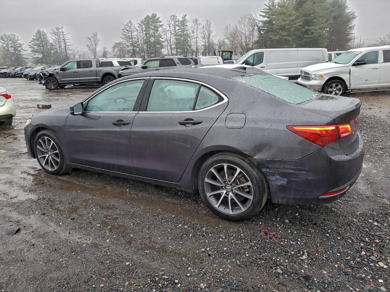 Фото: 19UUB2F56FA007453