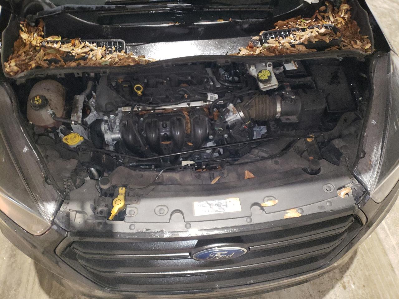 1FMCU0F79KUC07421 FORD ESCAPE 2019