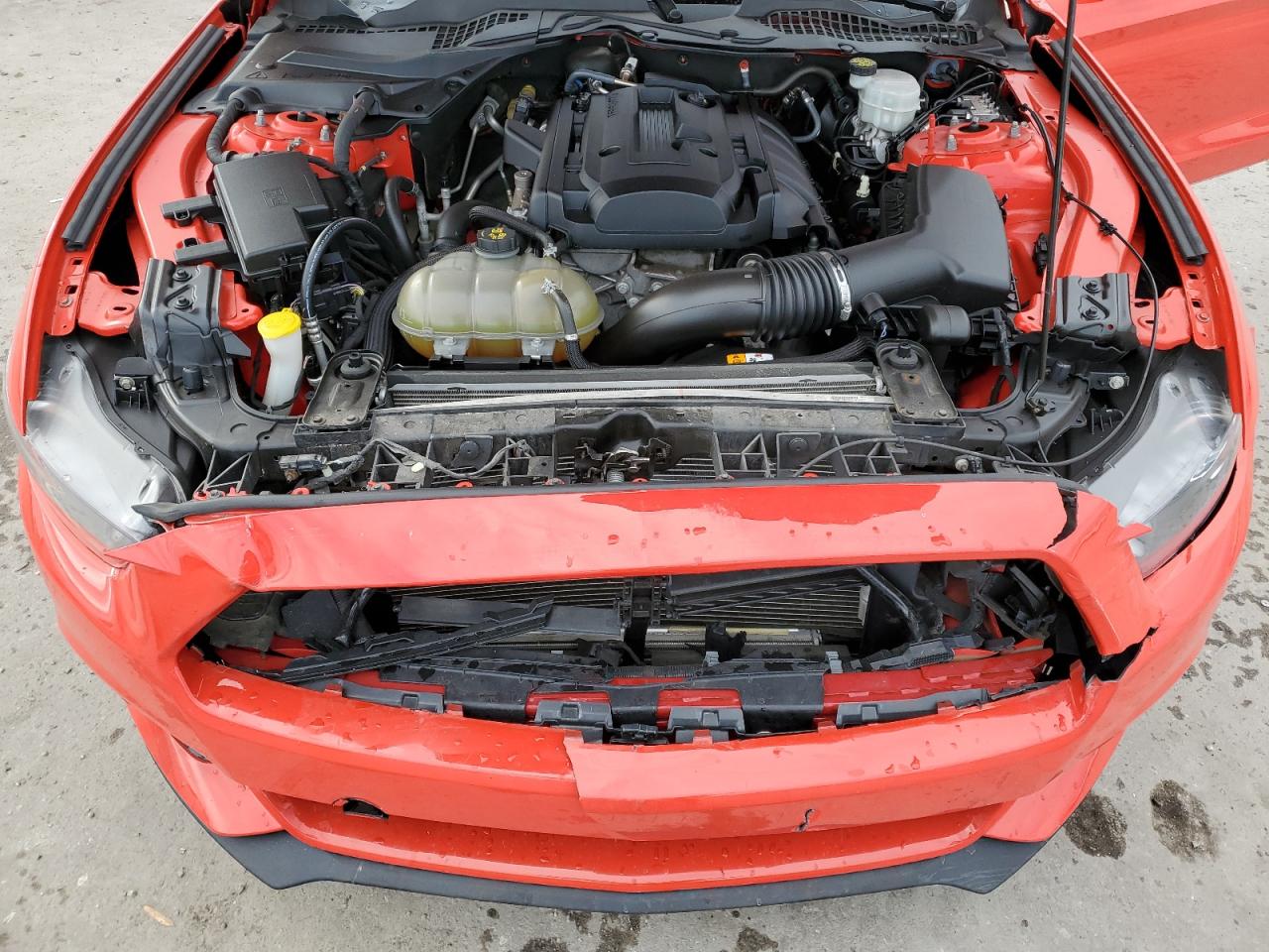 1FA6P8TH7H5305912 FORD ALL Models 2017