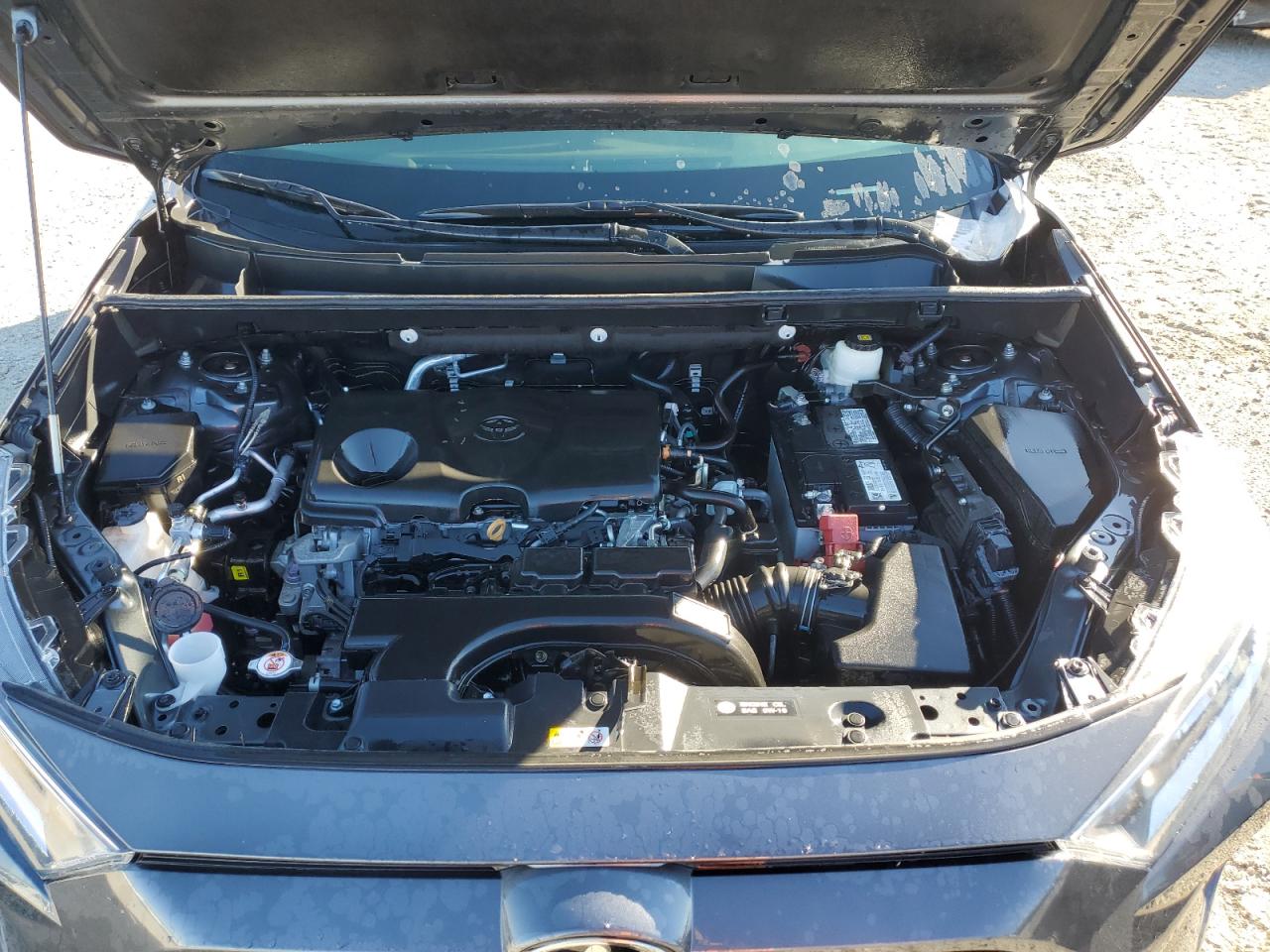 2T3C1RFVXMW117359 TOYOTA RAV4 2021