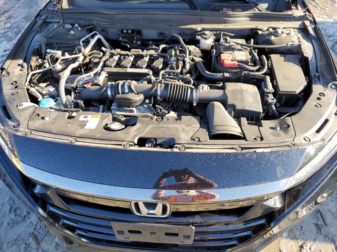 1HGCV1F33LA002976 HONDA ACCORD 2020