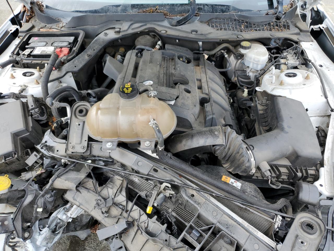 1FA6P8TH0J5114841 FORD ALL Models 2018