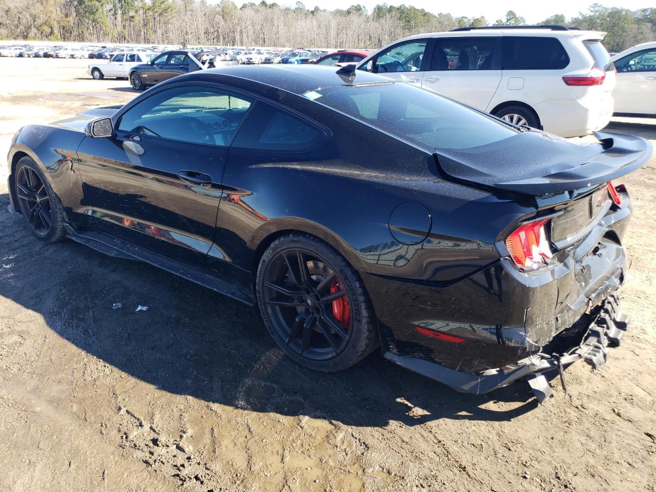 1FA6P8SJ8M5501498 FORD MUSTANG 2021