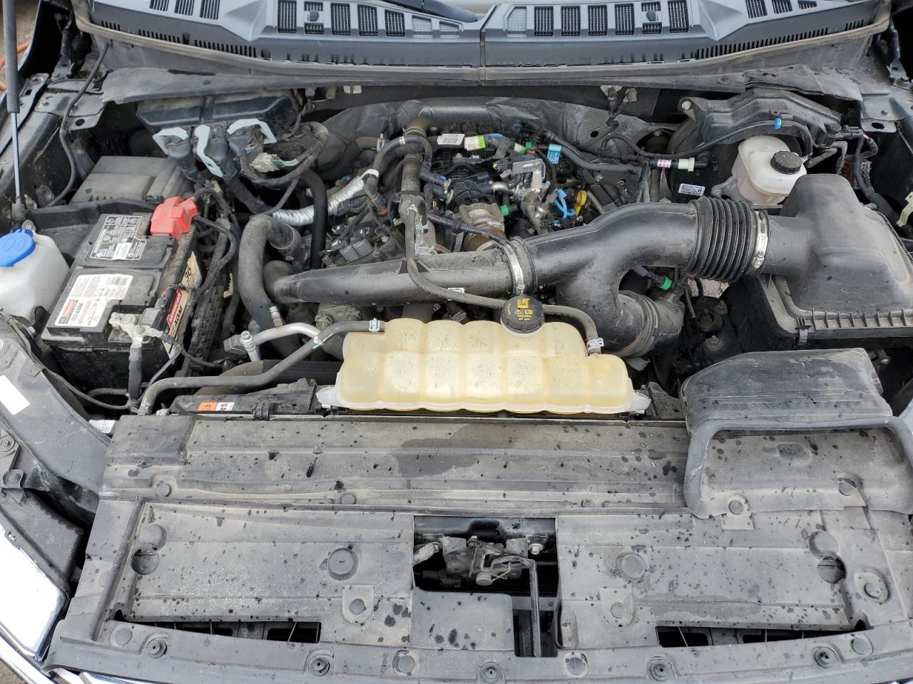 1FTEW1EPXKFB68762 FORD F-150 2019
