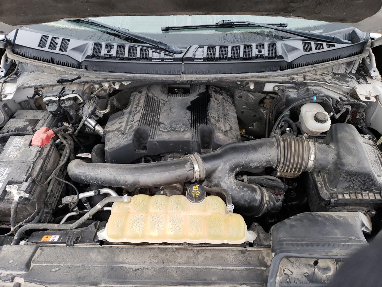 1FTFW1E49KKD12903 FORD F-150 2019