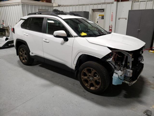 2T3UWRFV1PW151359 | 2023 TOYOTA RAV4 WOODL