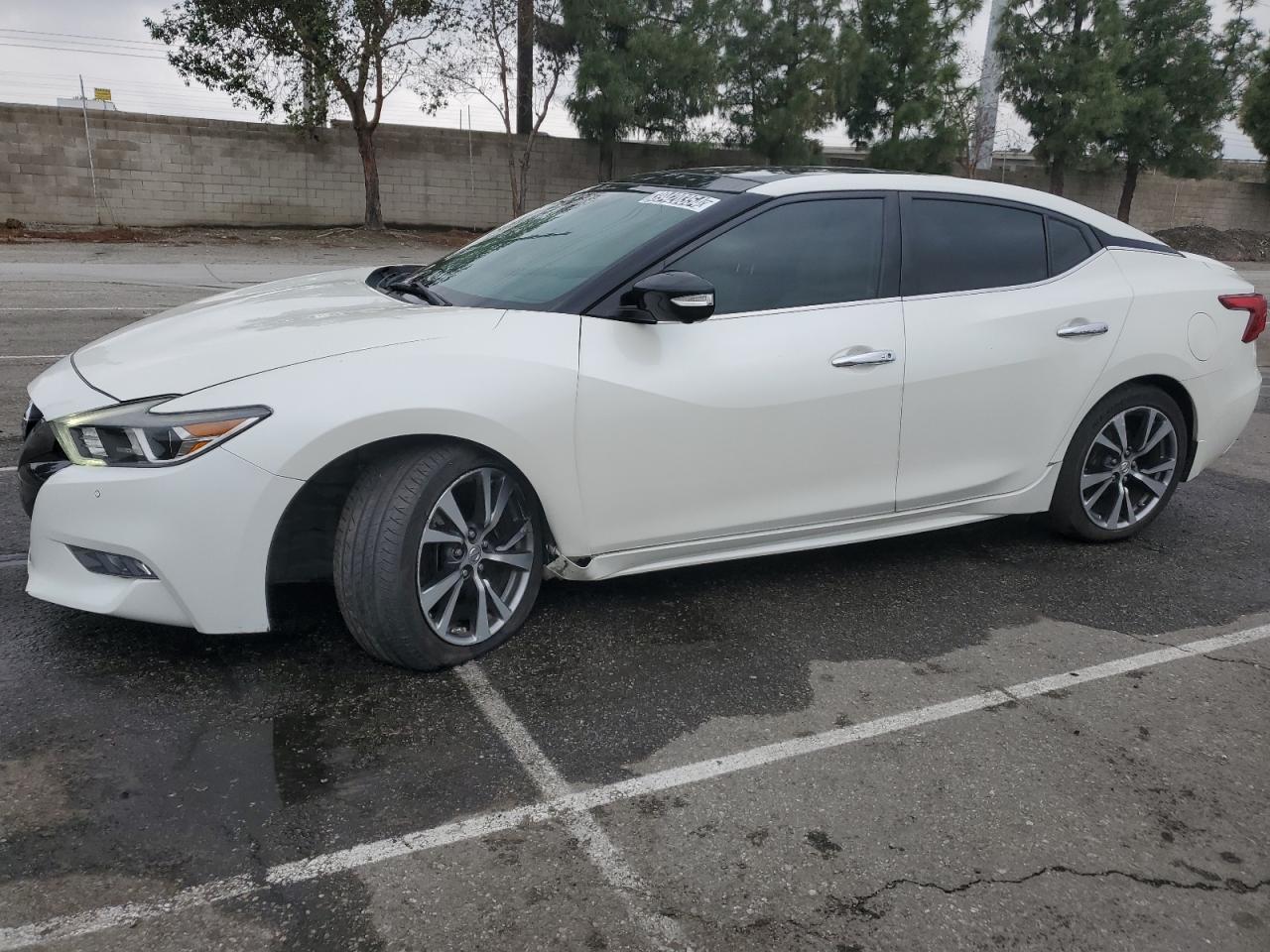 1N4AA6AP2GC410667 NISSAN MAXIMA 2016