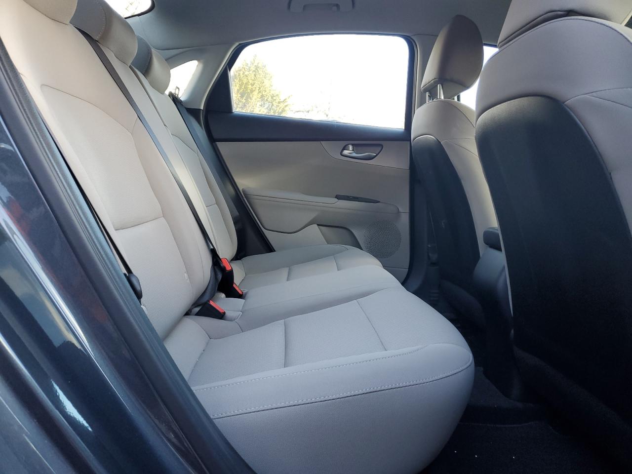 3KPF24AD3KE082135 KIA FORTE 2019