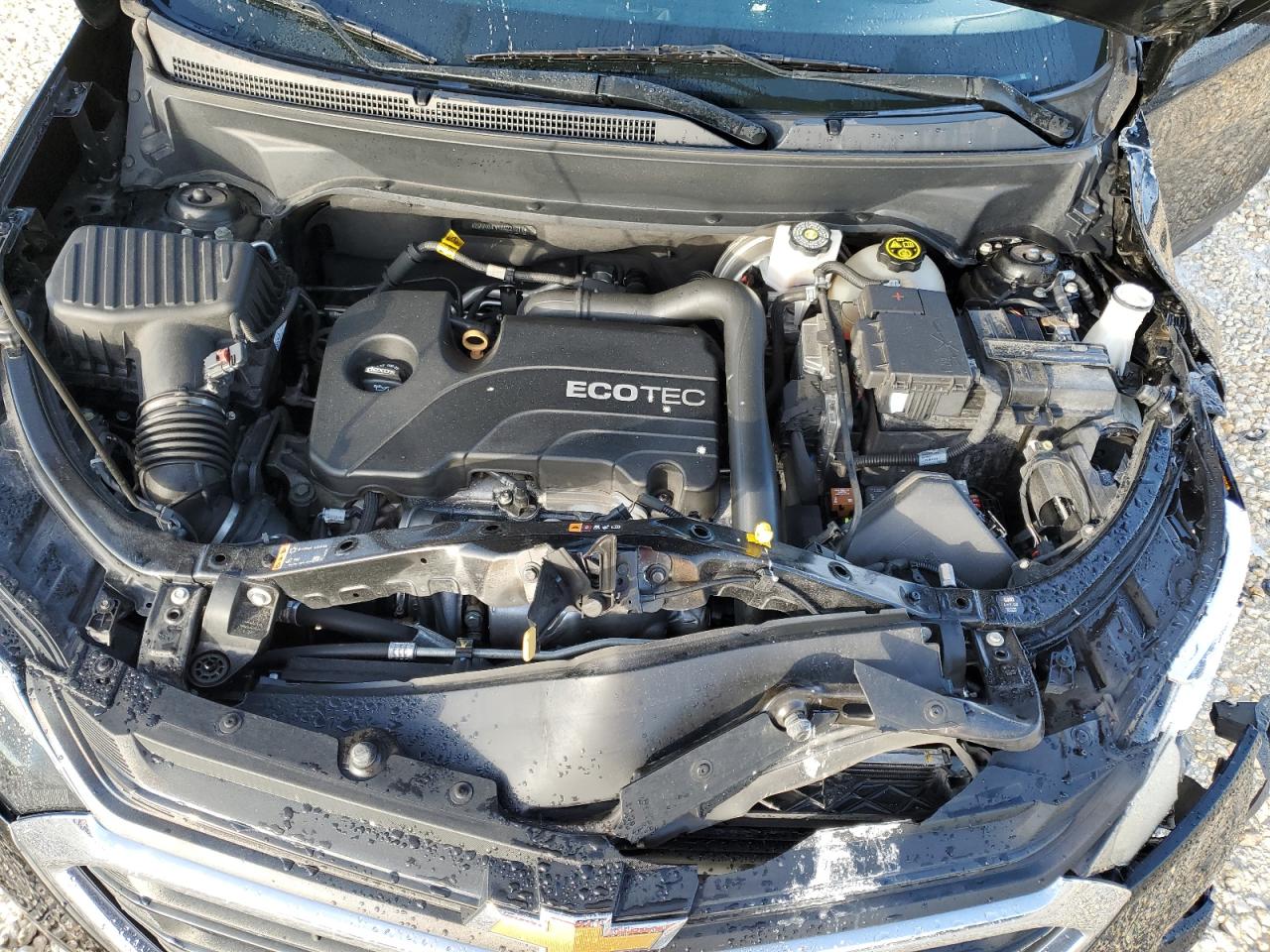 2GNAXHEV4K6221217 CHEVROLET EQUINOX 2019