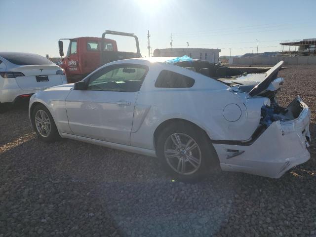 1ZVBP8AM7E5254915 | 2014 FORD MUSTANG