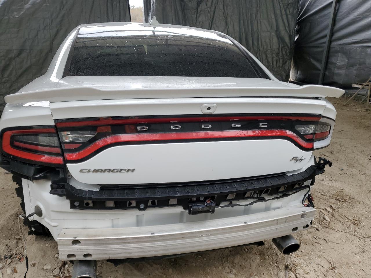 Lot #2339920800 2023 DODGE CHARGER R/