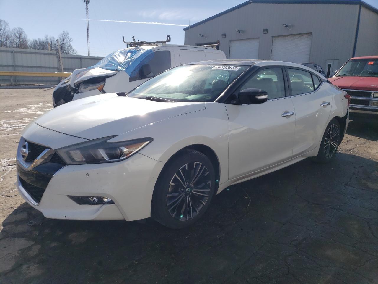 1N4AA6AP8GC422323 NISSAN MAXIMA 2016