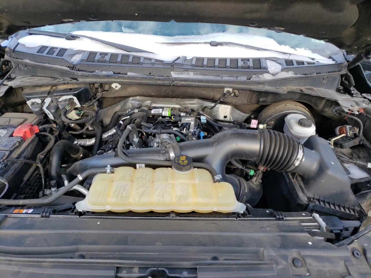 1FTEW1CP8LKD85982 FORD F-150 2020