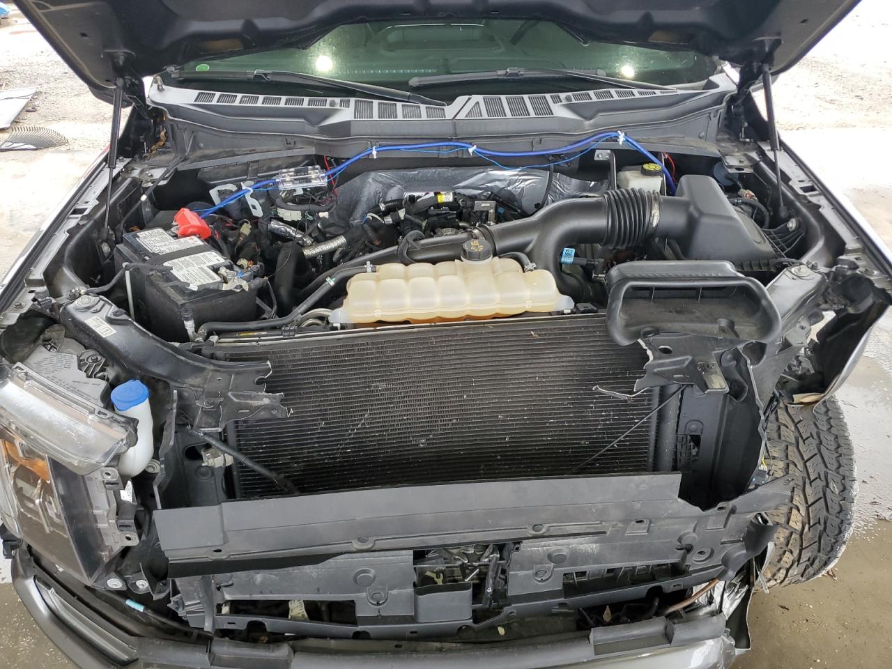 1FTEW1CP6MFC00600 FORD F-150 2021