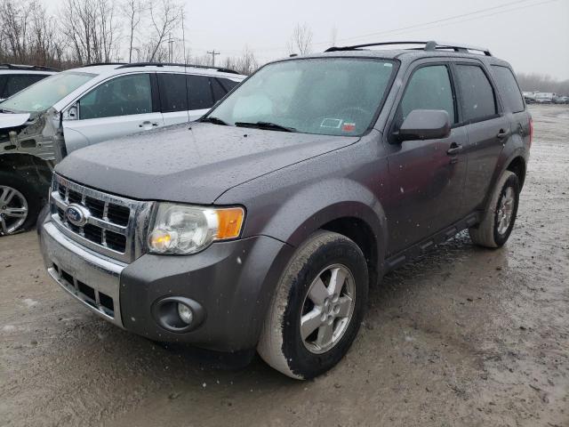 2010 Ford Escape Limited