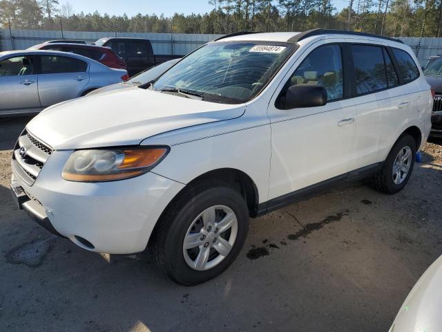 2009 Hyundai Santa Fe GLS