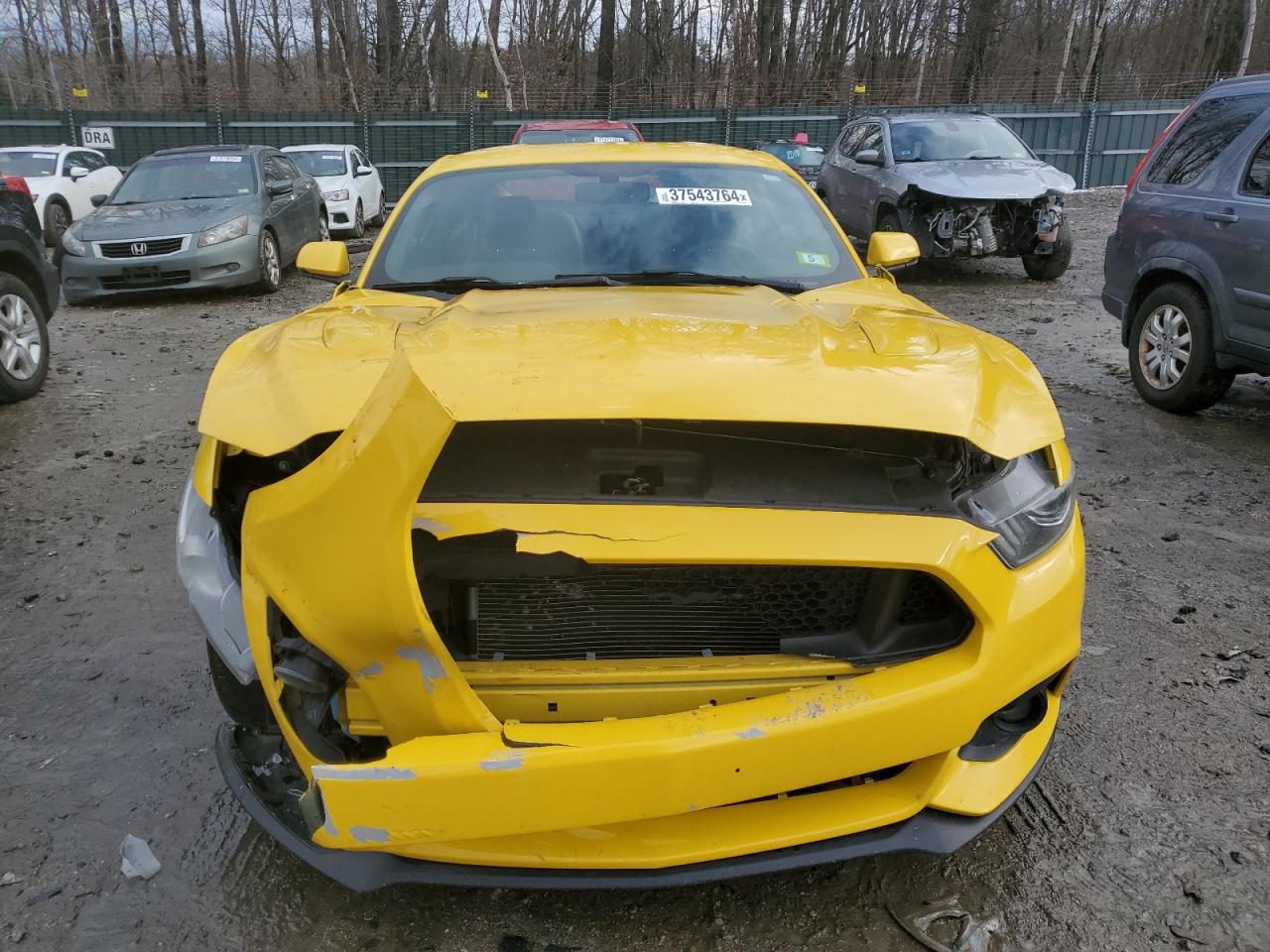 1FA6P8CFXG5309207 FORD MUSTANG 2016