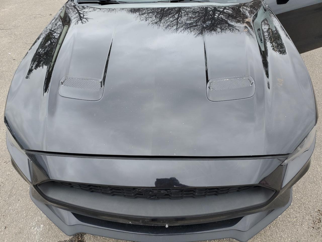 1FA6P8TH8K5102308 FORD ALL Models 2019